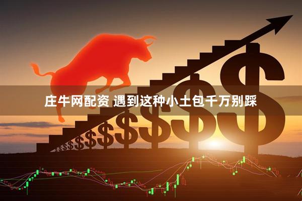 庄牛网配资 遇到这种小土包千万别踩